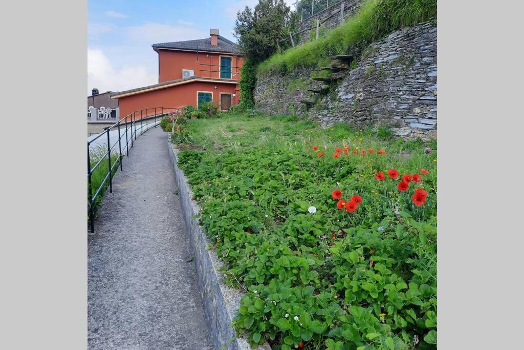 Cogorno La Finestra Sul Golfo - Citra 010018-Lt-0033 -ヴィラ エクステリア 写真